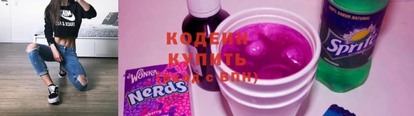 ECSTASY Болотное