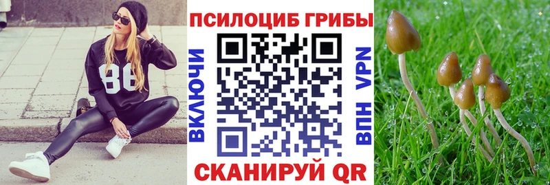 Галлюциногенные грибы мухоморы купить цена Верхний Тагил
